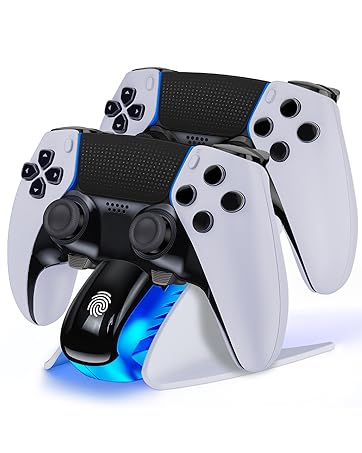 PS5 Controller Charger